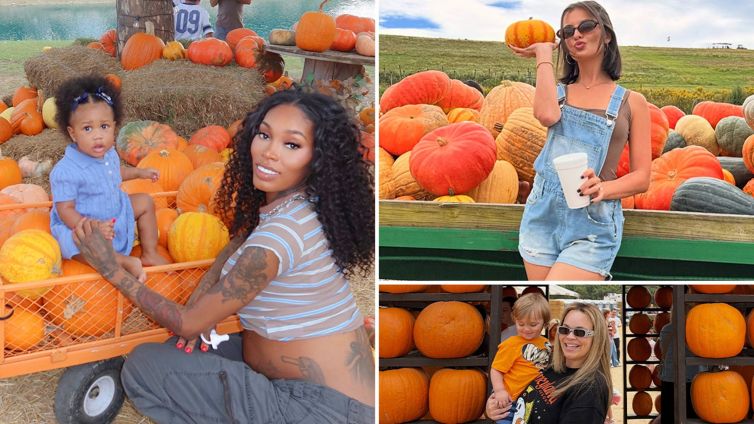 Celebrity Pumpkin Pics: Stars Hit the Pumpkin Patch and Beyond