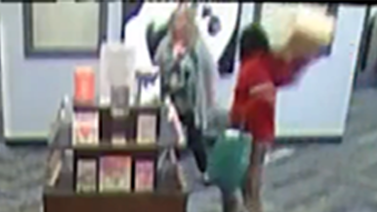 Person Throws Box of Cockroaches at Library Worker In Disgusting Video
