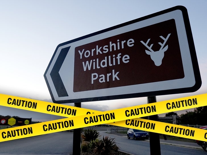 Yorkshire-Wildlife-Park-getty-2
